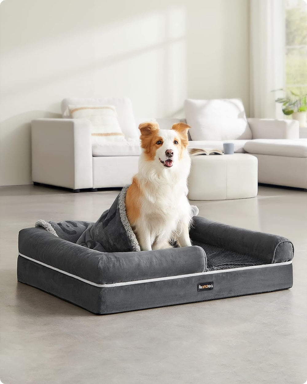 Orthopaedic Dog Bed - Washable Cover (Anti-Slip) - Karrari