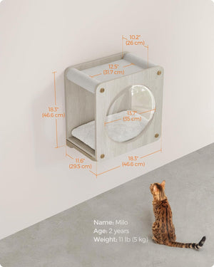 Cat Wall Cave Condo with Hammock & Window - Karrari