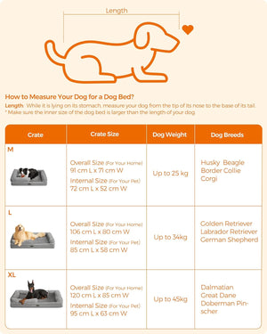 Orthopedic Dog Sofa Bed - Removable Washable Cover - Karrari