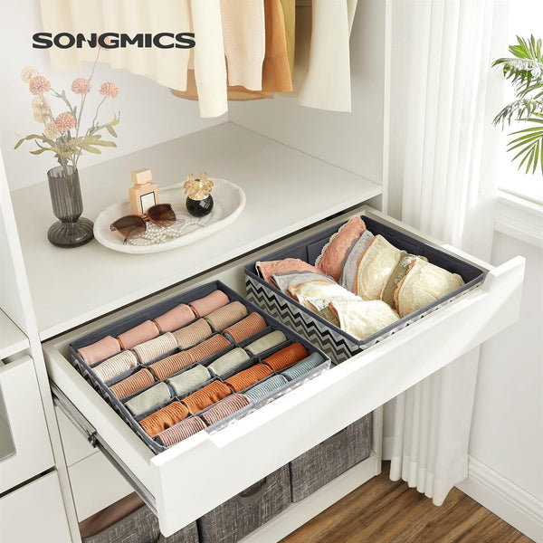 Set of 2 Foldable Underwear Storage Organisers - Karrari