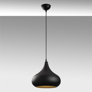 Teardrop Pendant Light – Matte Black Finish - Karrari