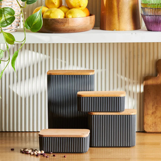 Massimo 4-Piece Modern Airtight Container Set - Karrari