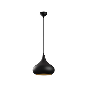 Teardrop Pendant Light – Matte Black Finish - Karrari