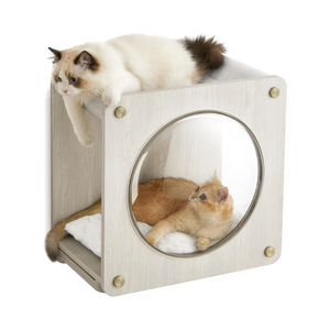 Cat Wall Cave Condo with Hammock & Window - Karrari