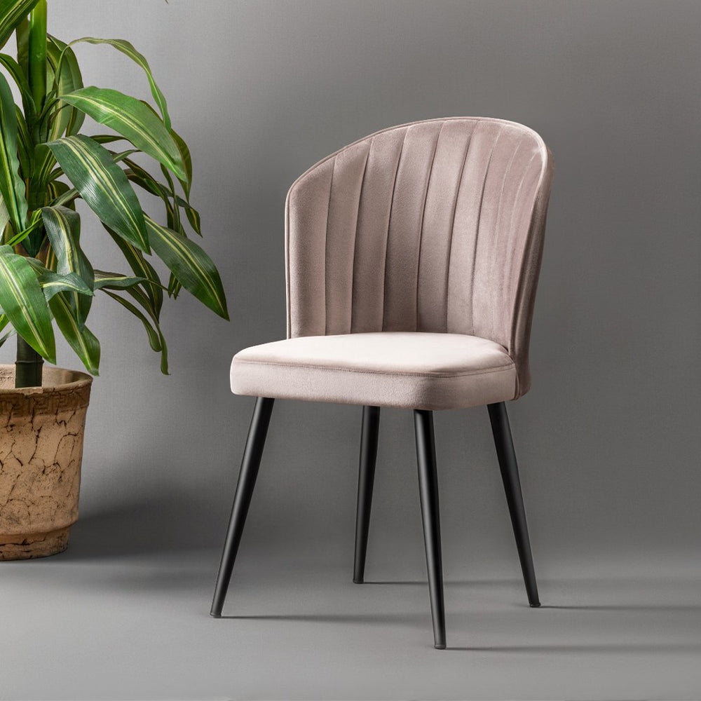 Cappuccino Velvet Chairs (set of 4) - Karrari