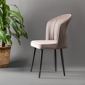 Cappuccino Velvet Chairs (set of 4) - Karrari