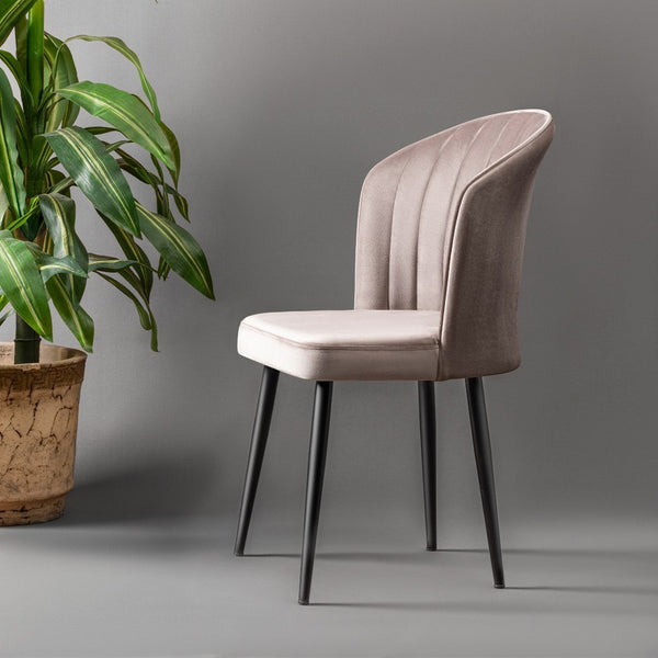 Cappuccino Velvet Chairs (set of 4) - Karrari