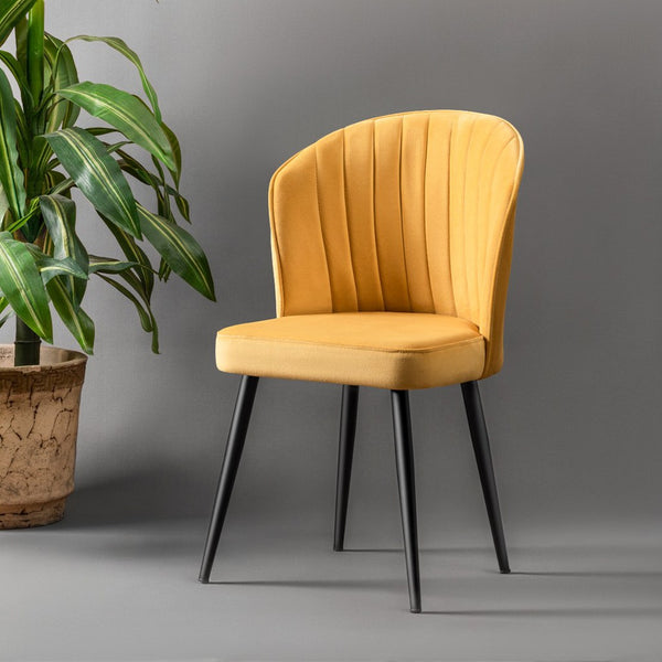 Mustard Yellow Velvet Chairs (set of 4) - Karrari
