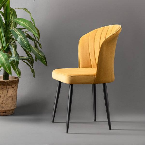 Mustard Yellow Velvet Chairs (set of 4) - Karrari