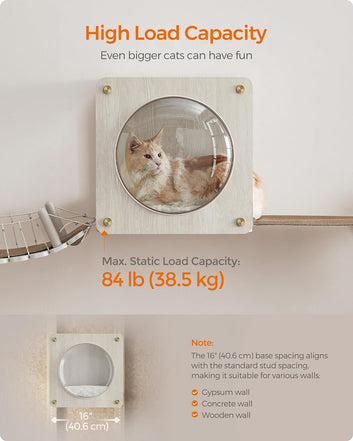 Clickat Collection - No.010 Cat Cave, Cat Wall Condo House with Hammock, Observation Window
