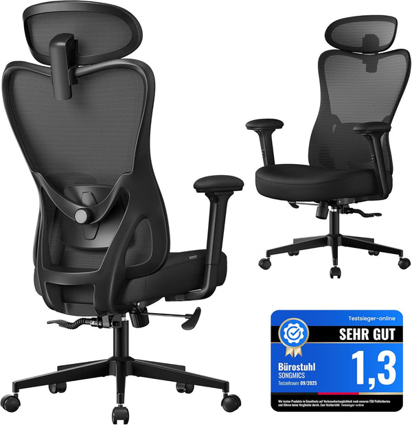 Ergonomic Office Chair With Adjustable Lumbar and Headrest - Ink Black - Karrari