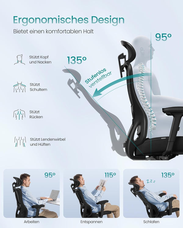 Ergonomic Office Chair With Adjustable Lumbar and Headrest - Ink Black - Karrari