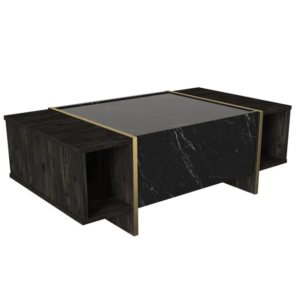 Modern Nero Marble & Gold Accented Coffee Table - Karrari