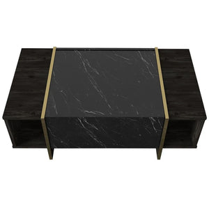 Modern Nero Marble & Gold Accented Coffee Table - Karrari