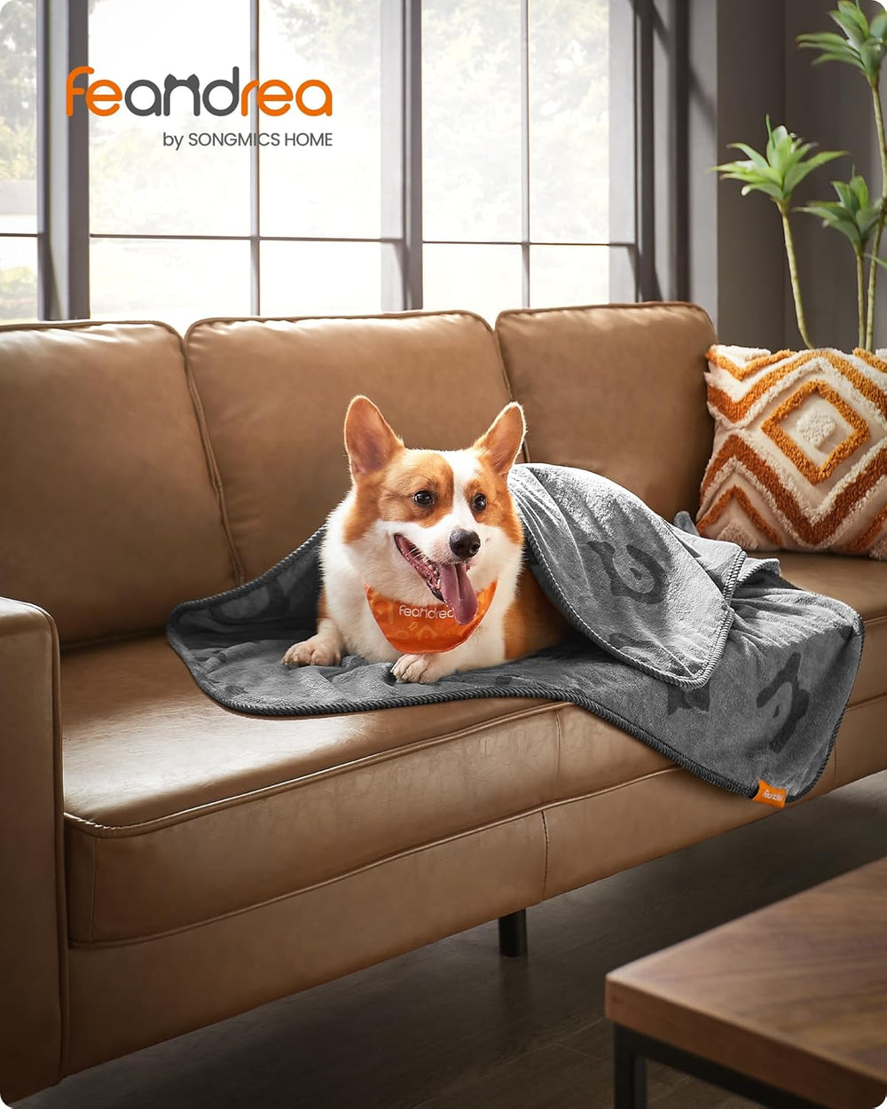 3-Pack Dog Blankets Washable, L, 127 x 102 cm - Karrari