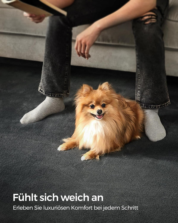 Modern Super Soft Rug - Karrari