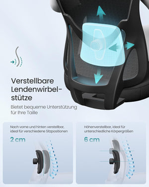 Ergonomic Office Chair With Adjustable Lumbar and Headrest - Ink Black - Karrari