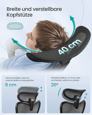 Ergonomic Office Chair With Adjustable Lumbar and Headrest - Ink Black - Karrari