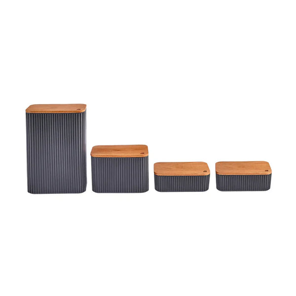 Massimo 4-Piece Modern Airtight Container Set - Karrari