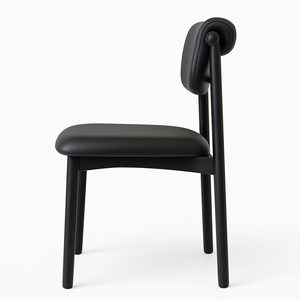 Modern Black Dining Chairs (Set of 2)