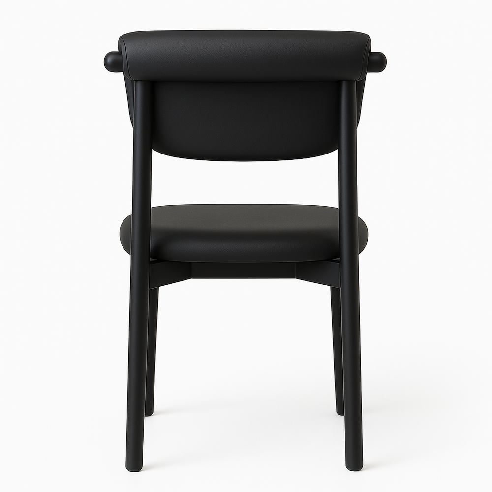 Modern Black Dining Chairs (Set of 2)