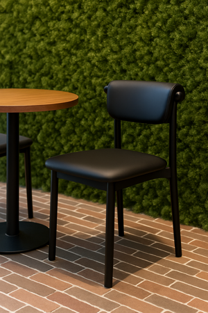 Modern Black Dining Chairs (Set of 2)