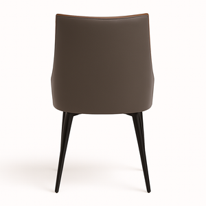 Two-Tone Faux Leather Dining Chairs (Set of 2)