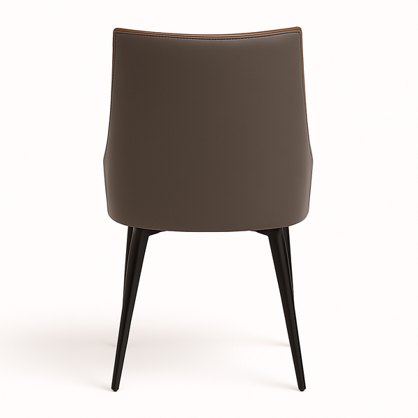 Two-Tone Faux Leather Dining Chairs (Set of 2)