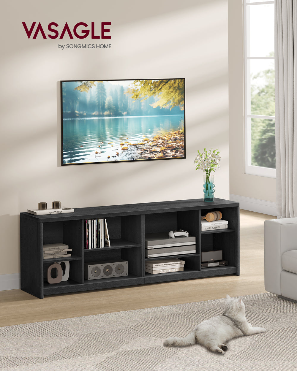 Modern TV Unit with Open Compartments