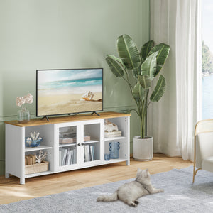 Farmhouse TV Stand with Glass Doors