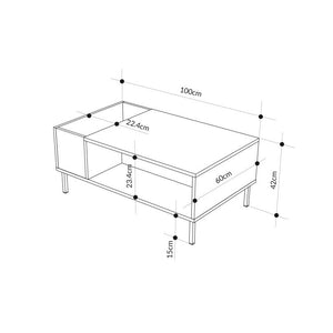 VENA Coffee Table – Ash Green & Metal Black - Karrari