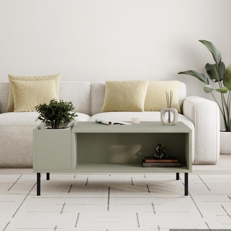 VENA Coffee Table – Ash Green & Metal Black - Karrari