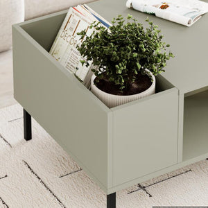 VENA Coffee Table – Ash Green & Metal Black - Karrari