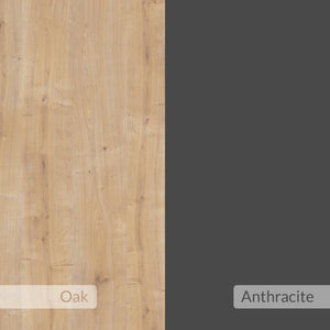 Esteban Chest in Anthracite / Coast Evoke Oak Finish