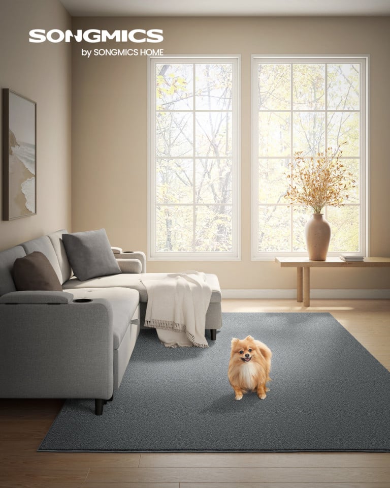 Modern Area Rug - Karrari