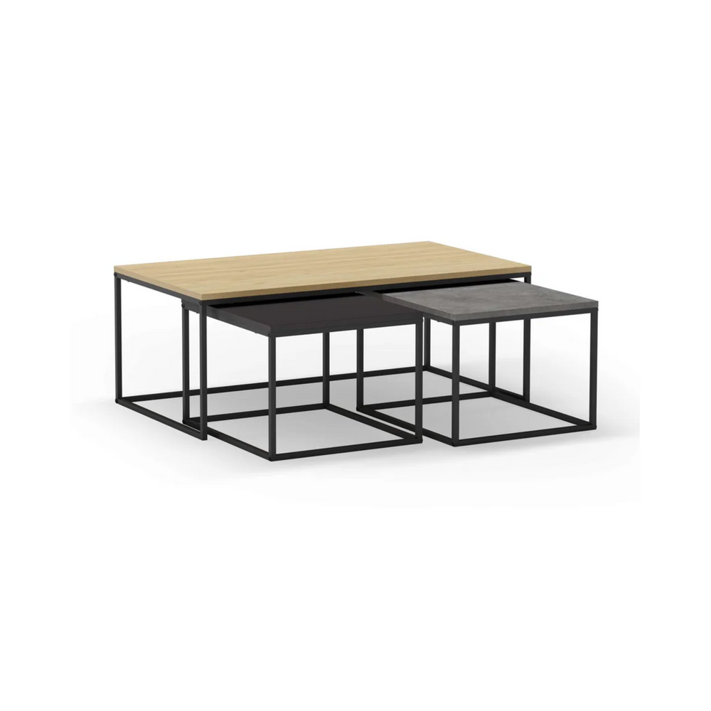 Camellia Coffee Table - Karrari