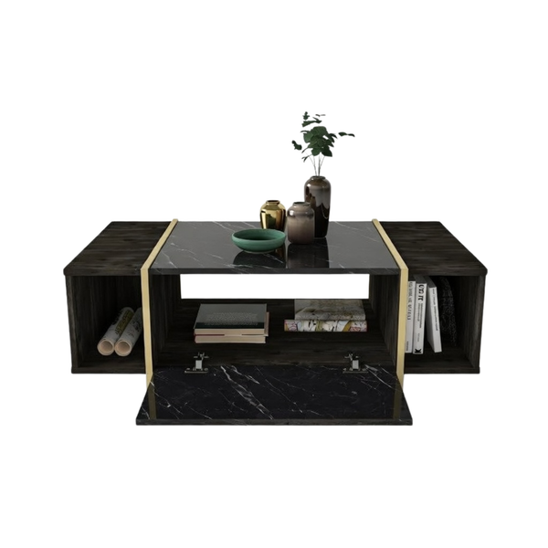 Modern Nero Marble & Gold Accented Coffee Table - Karrari