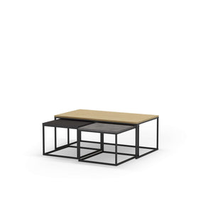 Camellia Coffee Table - Karrari