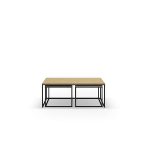 Camellia Coffee Table - Karrari