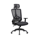 Ergonomic Office & Desk Chair with Lumbar Support - Karrari