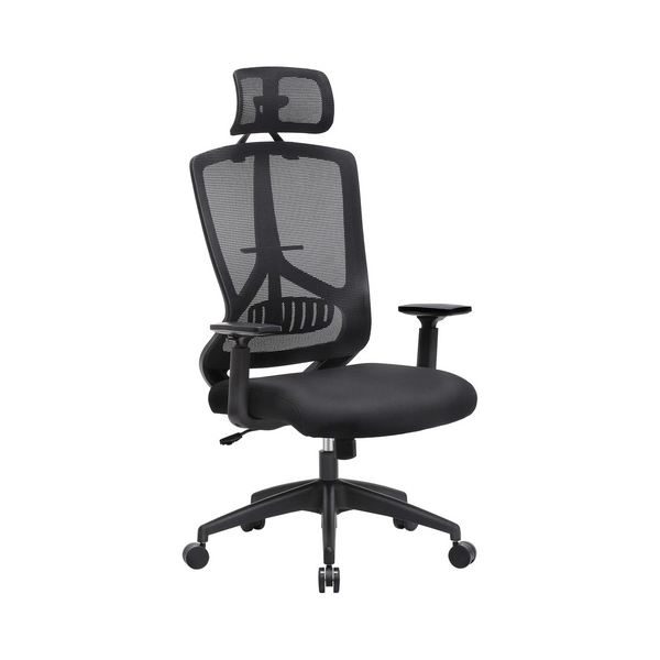Ergonomic Office & Desk Chair with Lumbar Support - Karrari