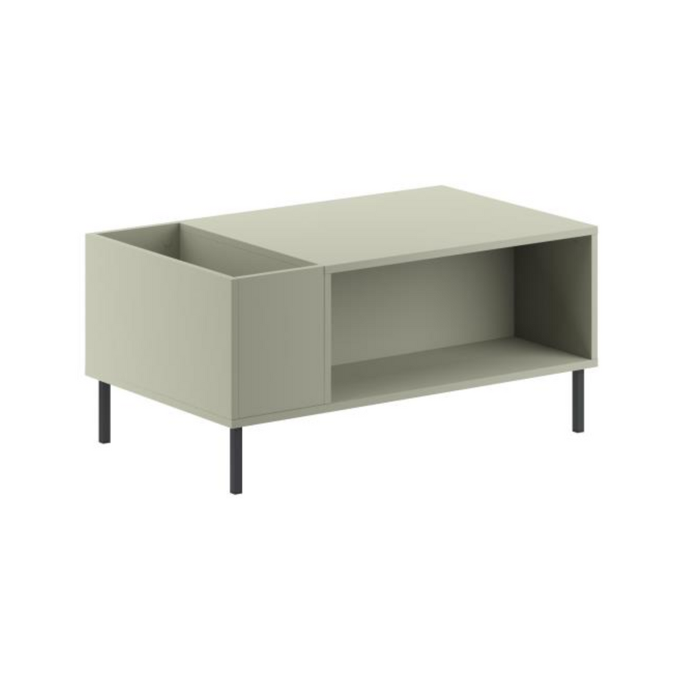 VENA Coffee Table – Ash Green & Metal Black - Karrari