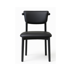 Modern Black Dining Chairs (Set of 2)