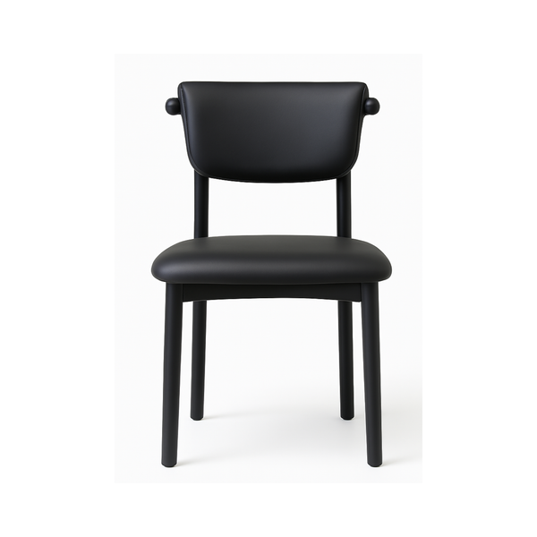 Modern Black Dining Chairs (Set of 2)