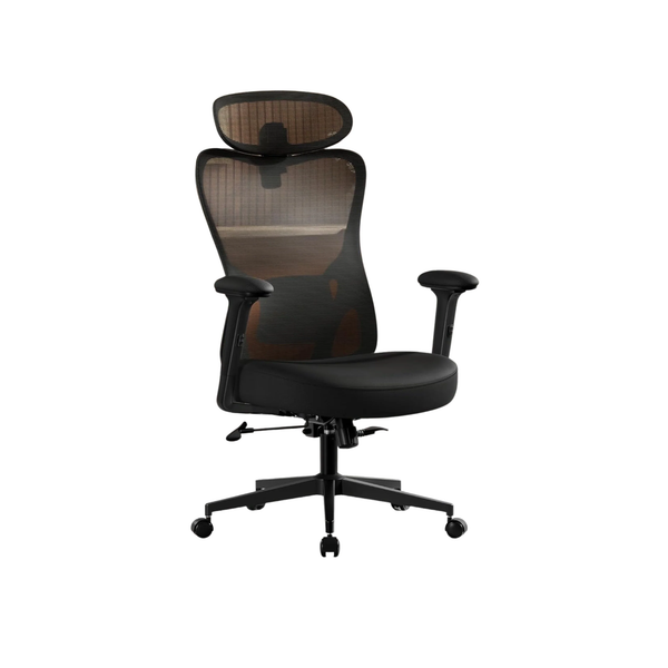 Ergonomic Office Chair With Adjustable Lumbar and Headrest - Ink Black - Karrari