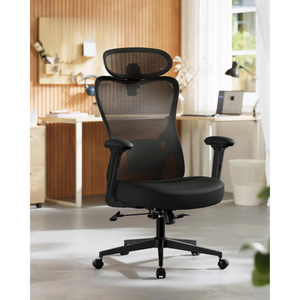 Ergonomic Office Chair With Adjustable Lumbar and Headrest - Karrari