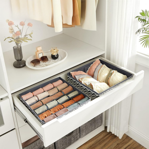 Set of 2 Foldable Underwear Storage Organisers - Karrari