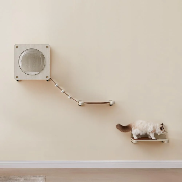 Cat Wall Cave Condo with Hammock & Window - Karrari