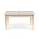 MIRA Table - Extendable Dining Table (Travertine & Atlantic Pine)