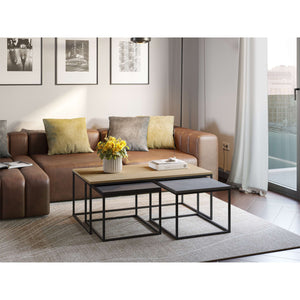 Camellia Coffee Table - Karrari